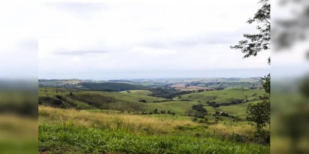 Valor médio é de R$ 58,9 mil o hectare este ano