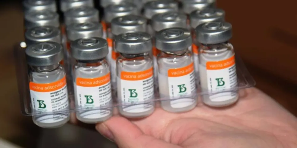 Distribuição das doses e os grupos que serão atendidos estão em análise pela equipe técnica da Secretaria de Estado da Saúde (Sesa)