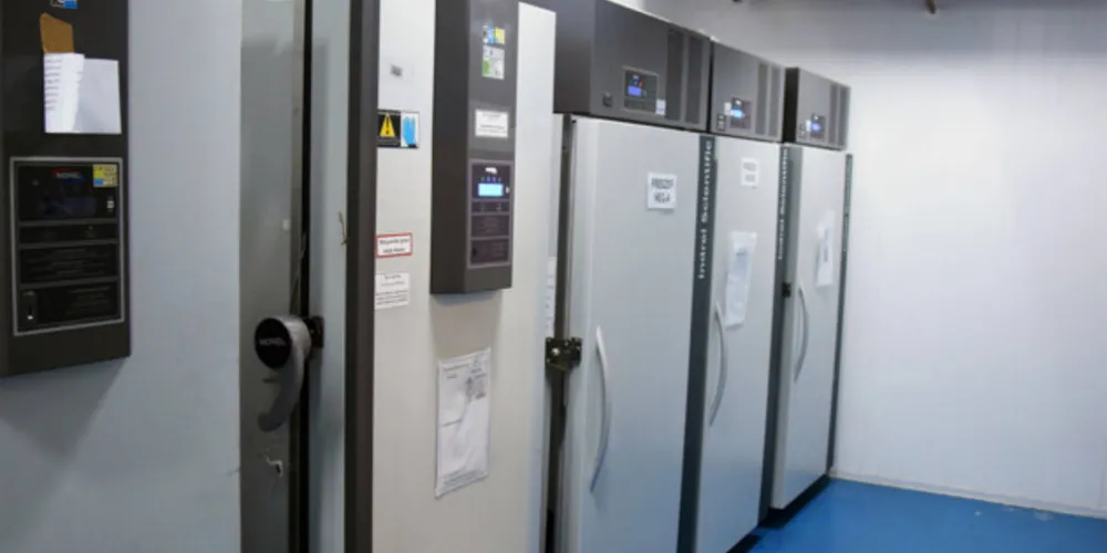  O Estado conta com nove freezers para armazenamento do imunizante.