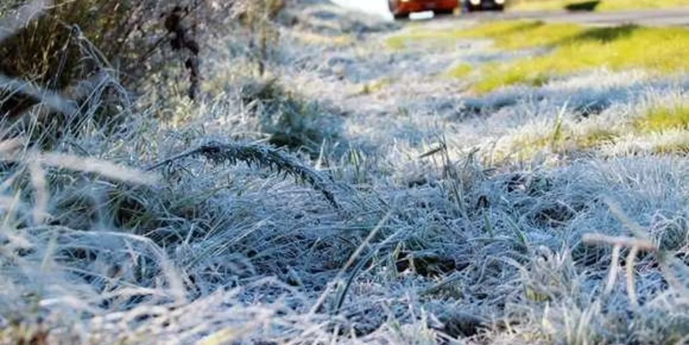 Imagem ilustrativa da imagem 'Segundona em PG' terá geada e mínima de 3ºC