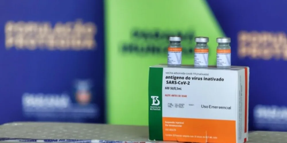 Imagem ilustrativa da imagem 368 mil doses de vacinas contra a covid-19 chegam ao PR