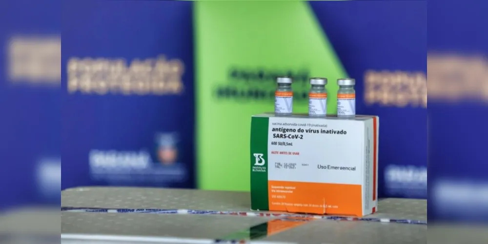 Imagem ilustrativa da imagem 368 mil doses de vacinas contra a covid-19 chegam ao PR