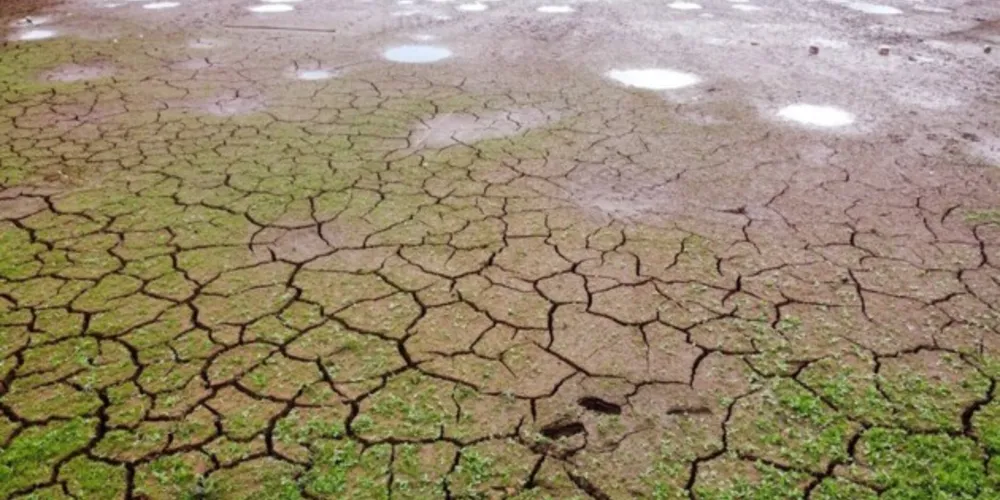 Imagem ilustrativa da imagem Paraná decreta situação de emergência hídrica