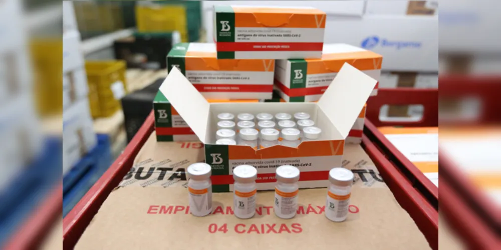 Imagem ilustrativa da imagem Paraná receberá mais 244,8 mil doses de vacinas contra a covid