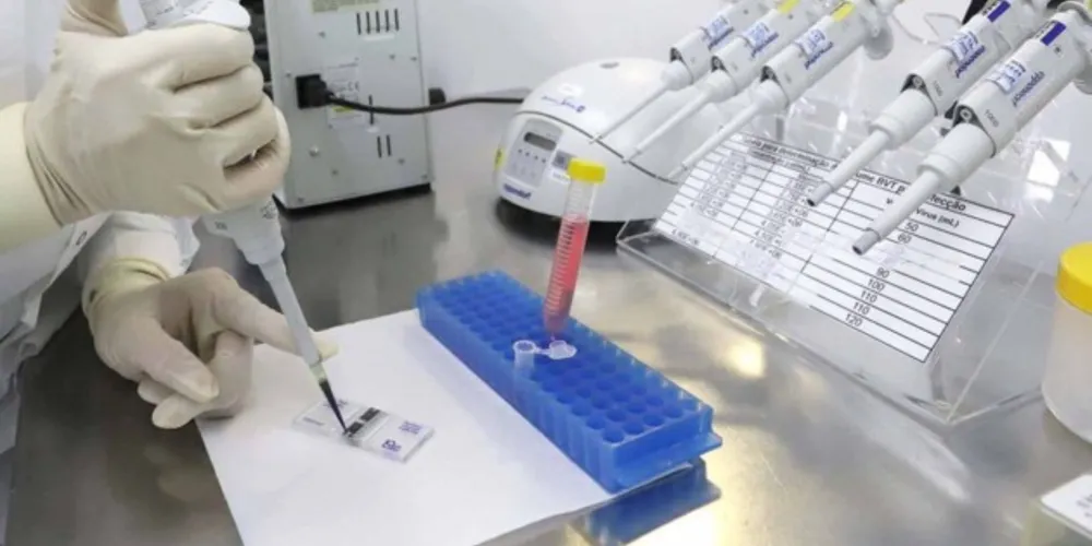 Imagem ilustrativa da imagem Universidades estaduais se destacam em avaliação do MEC