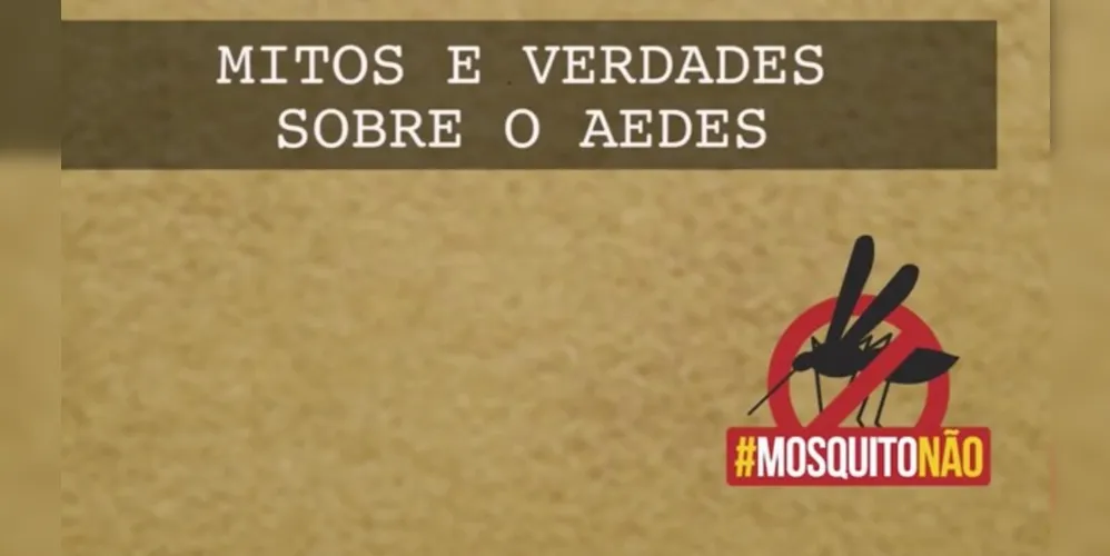 Imagem ilustrativa da imagem Videoaula Vamos Ler: como se prevenir contra a dengue