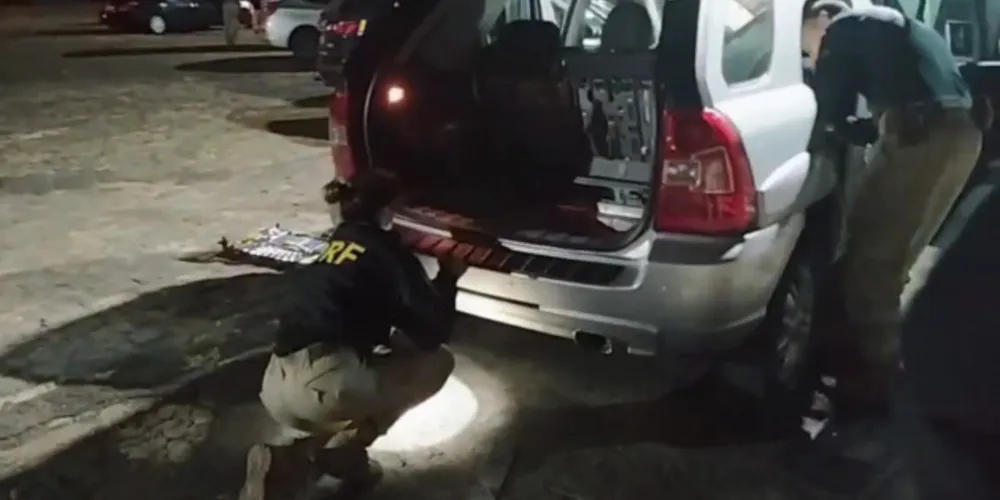Caso foi atendido por equipes da Polícia Rodoviária Federal, na BR 376. Entorpecentes foram encontrados com o auxílio de cães da equipe policial