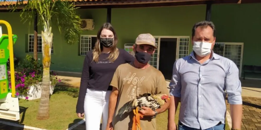 Imagem ilustrativa da imagem Galo detido por perturbação de sossego ganha liberdade no PR