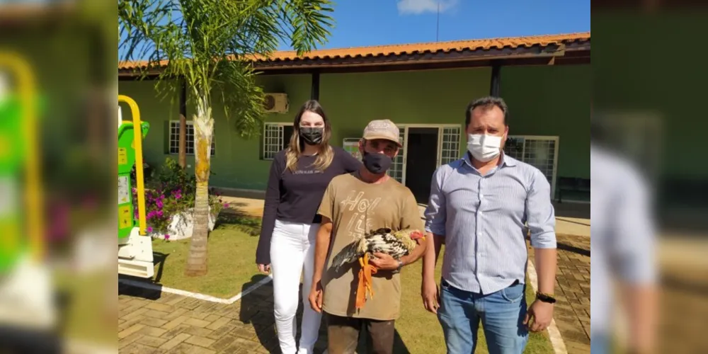 Imagem ilustrativa da imagem Galo detido por perturbação de sossego ganha liberdade no PR