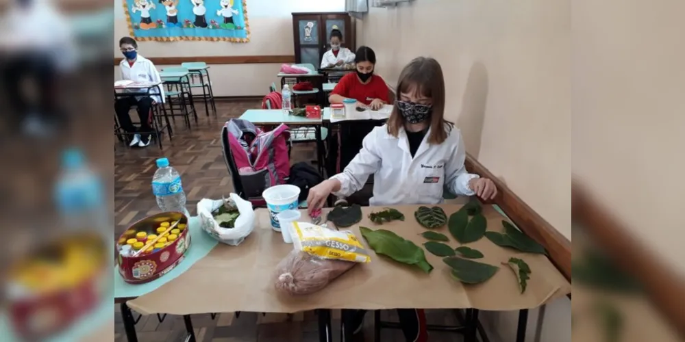 Registros mostram ações dos alunos de forma presencial e remota