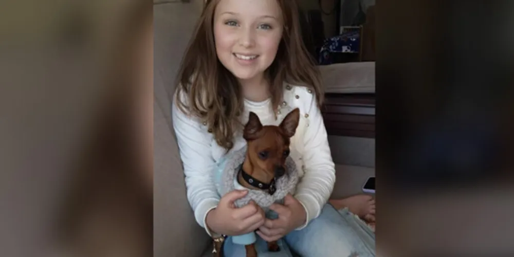 Registros de alunos e dos animais em situação de rua mostraram importância do tema