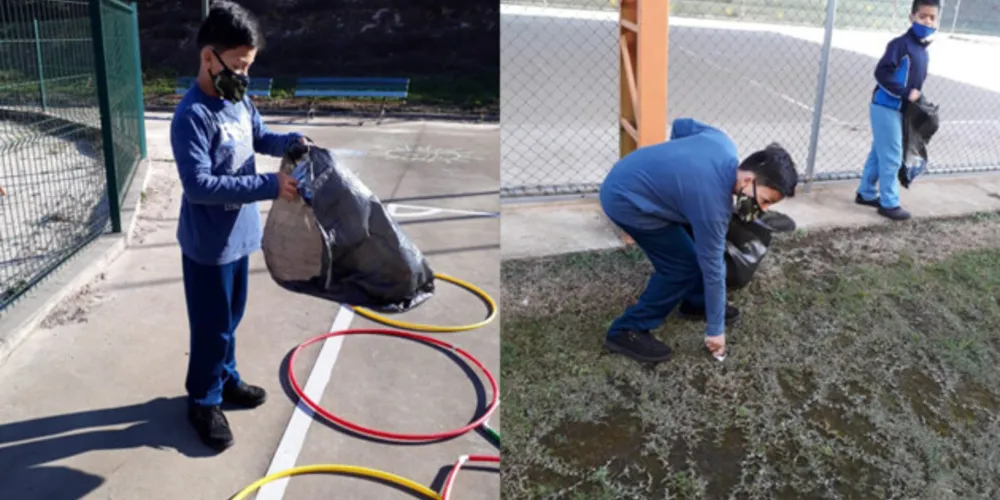 Minhocário e horta foram atividades complementares propostas