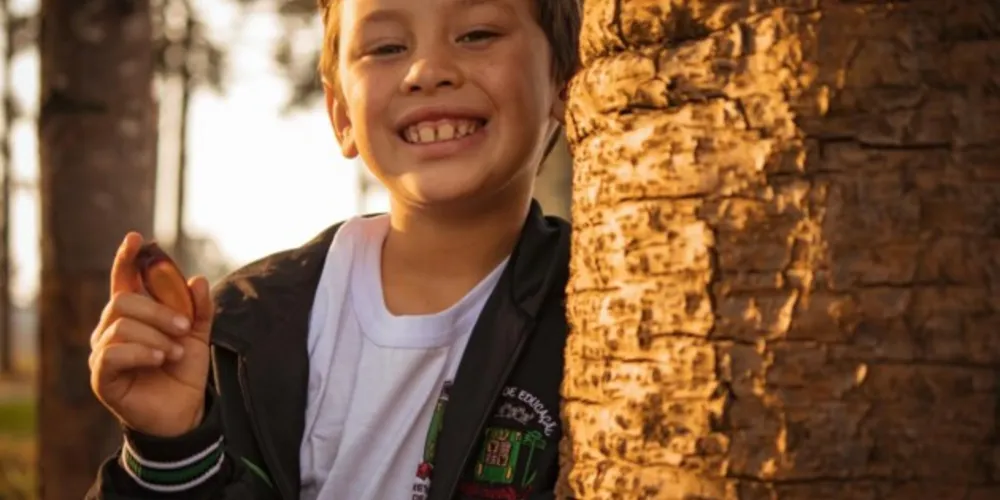 Imagens mostram riqueza de pinheiros na localidade da escola