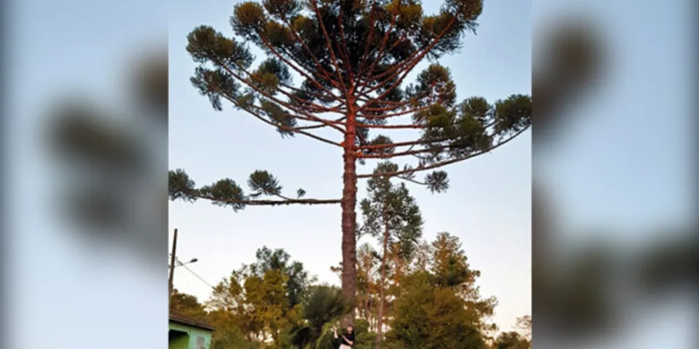 Trabalhos mostraram o engajamento dos alunos com o tema