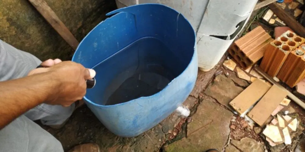 Levantamento mostra as regiões da cidade com maior presença do mosquito