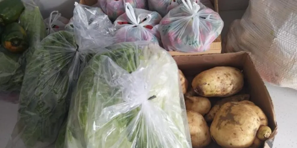 Maioria da produção é fornecida por agricultores familiares