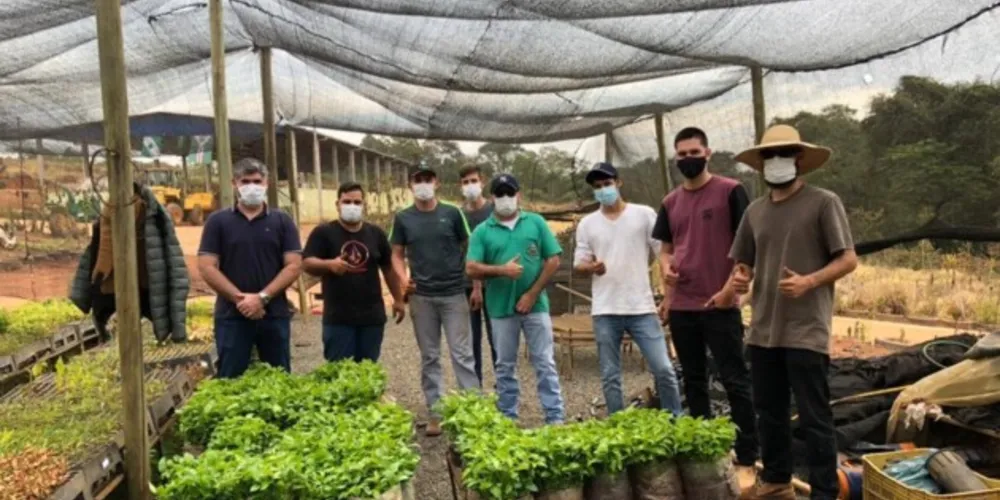 Agricultores ganham suporte técnico com apoio do Poder Público, que atua em várias frentes visando a diversificação