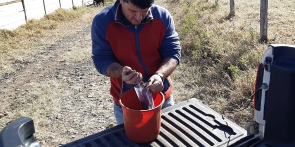 Iniciativa é executada por meio de orientação técnica da Secretaria de Agricultura e do Instituto de Desenvolvimento Rural (Emater)
