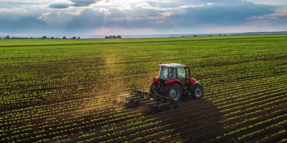 Declaração do Imposto Territorial Rural deve ser entregue até 30 de setembro