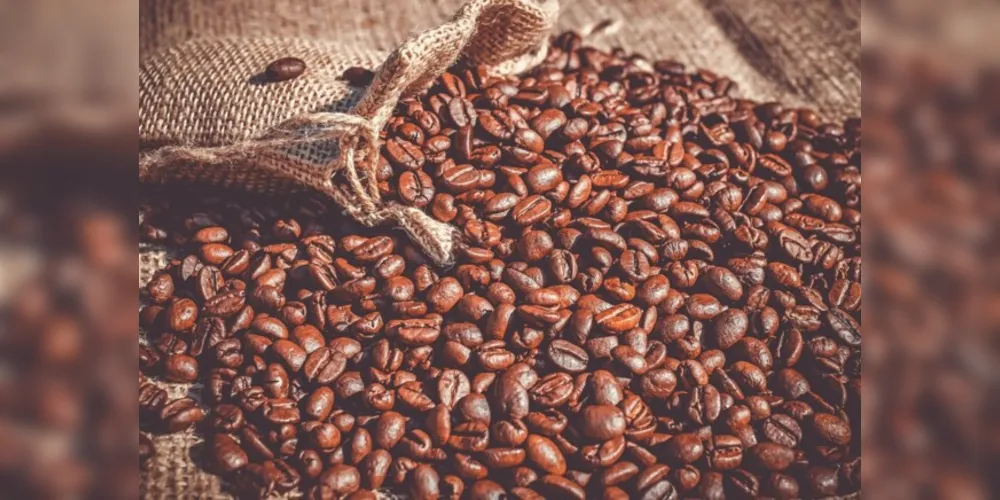 Consumo de cafés especiais cresceu neste ano de 2021
