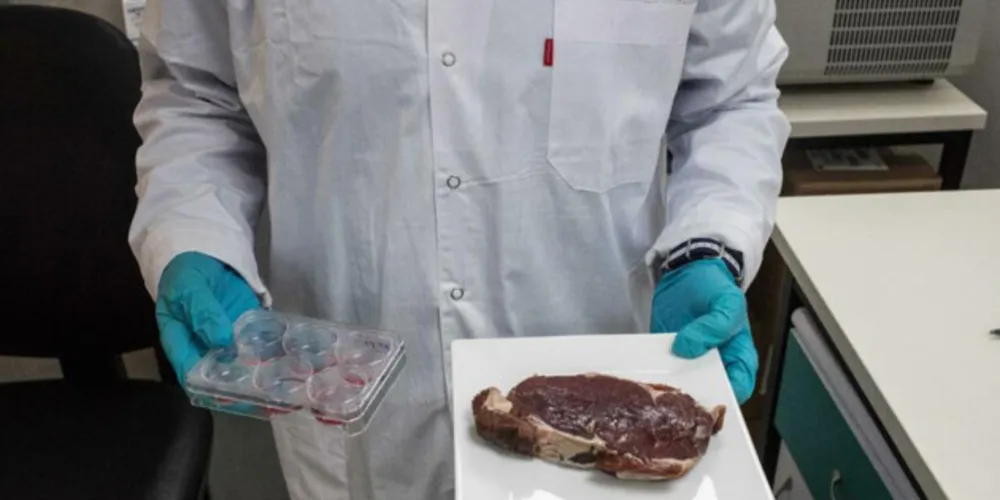 Células são cultivadas fora do corpo do animal com o fornecimento de nutrientes e ambiente propício para o seu desenvolvimento