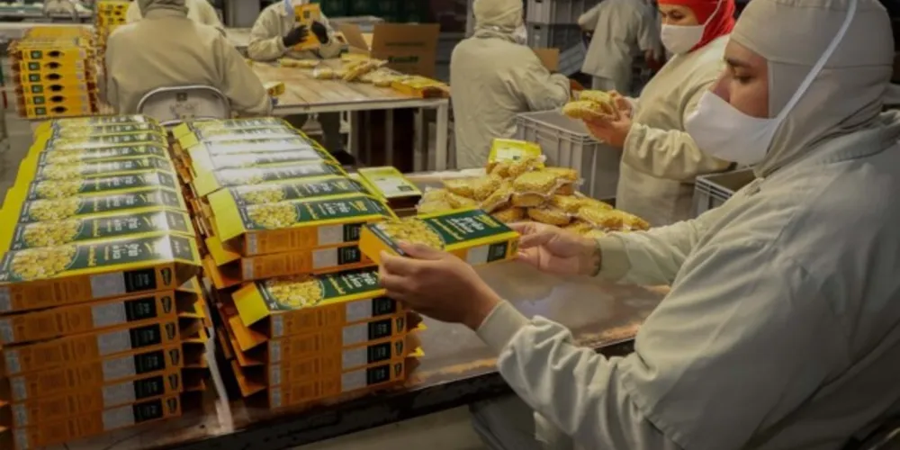 As empresas do Estado são destaques em vendas em cadeia regional e nacional