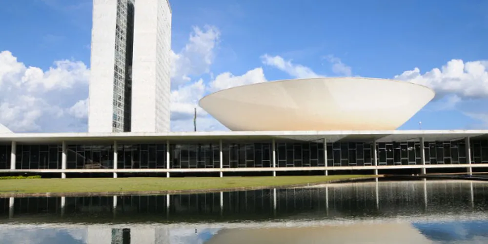 Deputados analisam o Projeto de Lei (PL) 4.014/20.