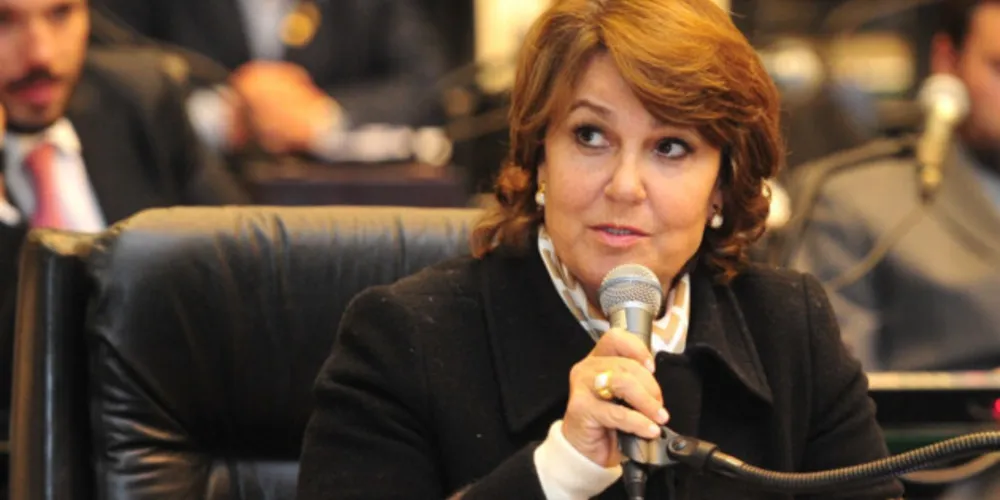Deputada Cristina Silvestri (CDN), procuradora da Mulher na Alep.