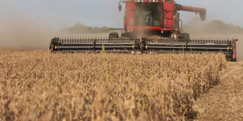 A soja foi responsável por mais de 25% do VBP regional