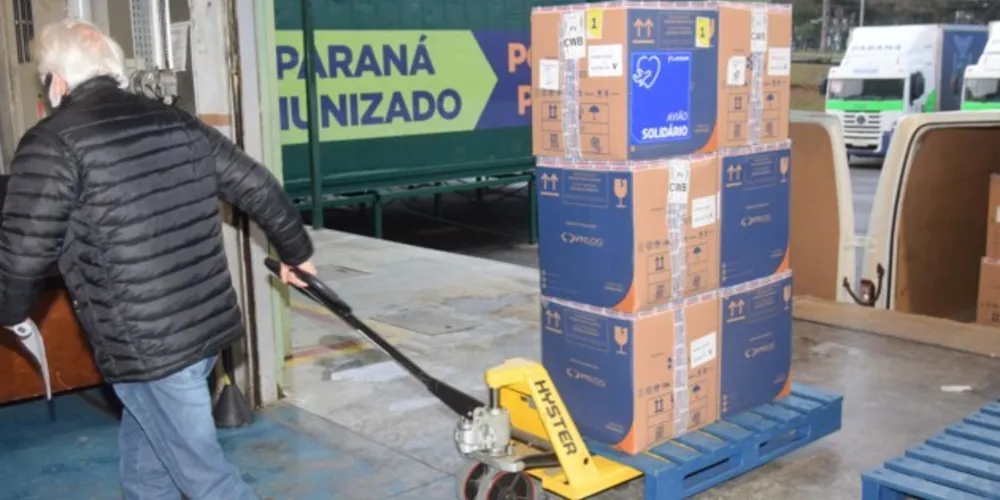 Imunizantes chegaram neste sábado