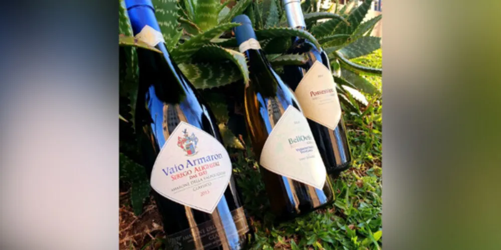 Grandes vinhos na famosa região de Valpolicella Clássico são produzidos há 21 gerações e são clássicos como a obra de Dante