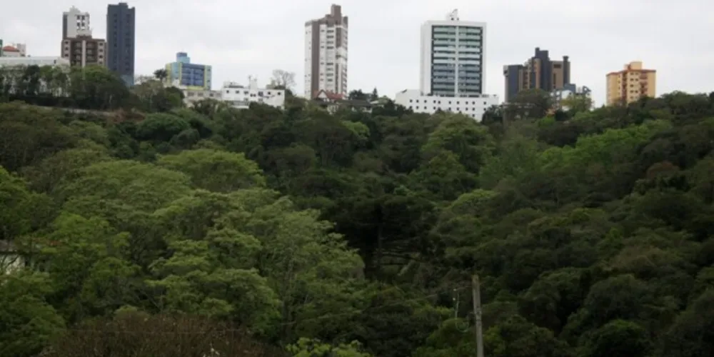 Parque Margherita Masini deverá ser revitalizado com o projeto.