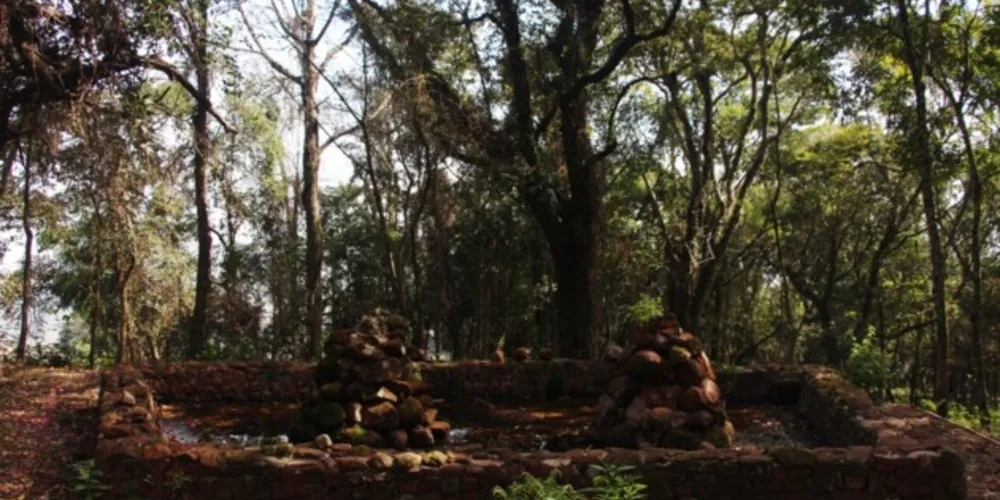 Parque Margherita Masini receberá a nova sede do Meio Ambiente.