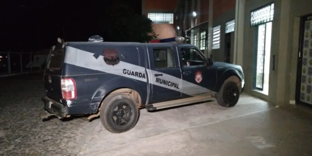 Ocorrência foi atendida pela equipe Delta do Grupamento de Ronda Ostensiva Municipal (​ROMU)