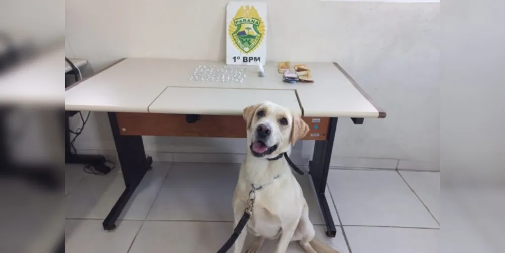 Jovem de 18 anos foi detida e encaminhada para a 13ª Subdivisão Policial (SDP), juntamente com as drogas apreendidas