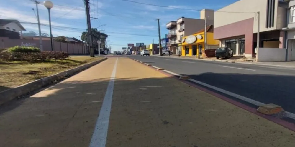 Ciclofaixa da Avenida Carlos Cavalcanti leva o nome do ciclista de 14 anos que morreu após ser atropelado no Jardim América em 2020