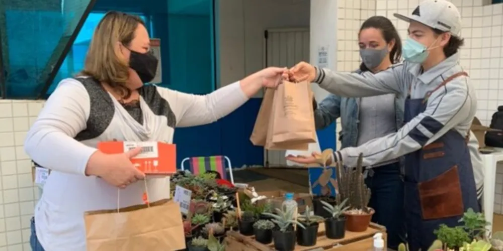 Ao todo são quatro produtores de suculentas e cactos da cidade que estão expondo seus produtos para a população