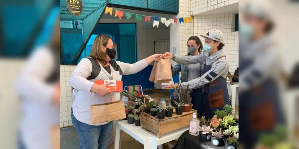 Ao todo são quatro produtores de suculentas e cactos da cidade que estão expondo seus produtos para a população