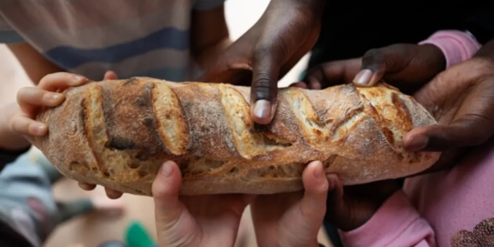 Estimativa é que 10% da população mundial sofreu pela falta de alimentos em 2020