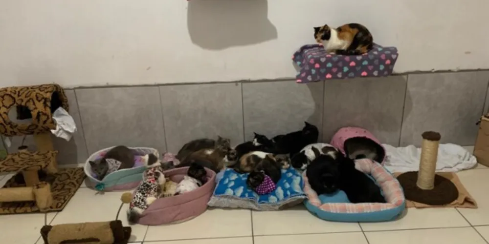 Ação ocorreu no Jardim Esplanada e contou com a participação também do Centro de Referência para Animais em Risco (CRAR).