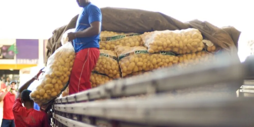 Preço da banana subiu 32,67% e cebola caiu em 29,74%, aponta pesquisa da UEPG