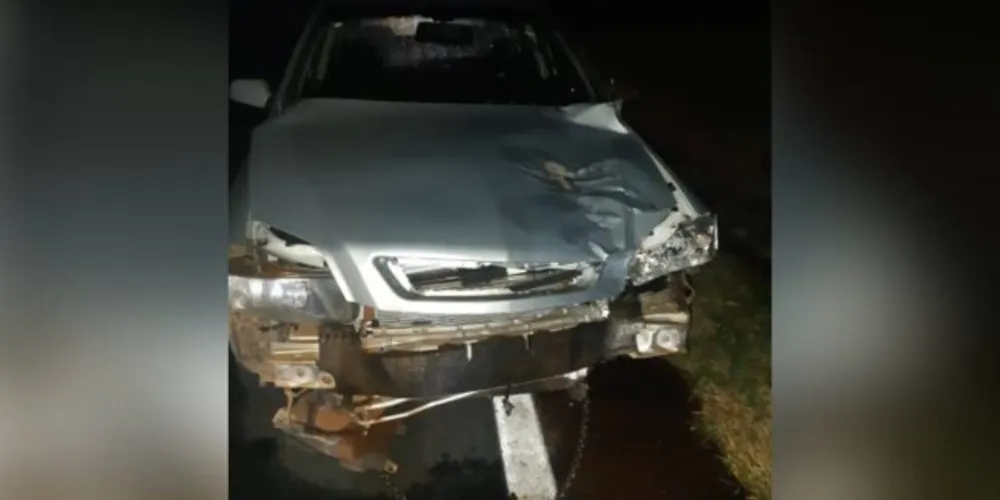 Acidente aconteceu na noite desta quinta-feira (15), na Rodovia do Café