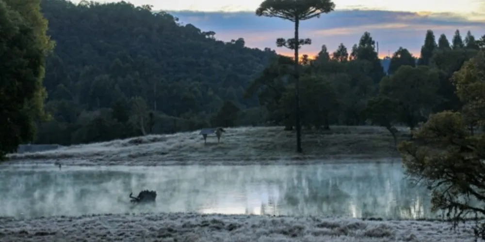 Boa parte do Paraná, e ainda regiões de Santa Catarina e do Rio Grande do Sul amanheceu sob forte formação geada