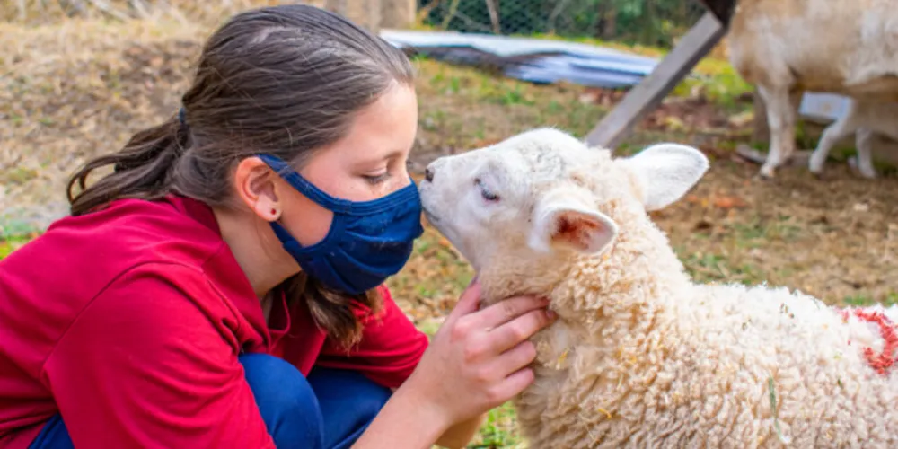 O objetivo da atividade foi estimular o desenvolvimento da empatia pelos animais nas crianças