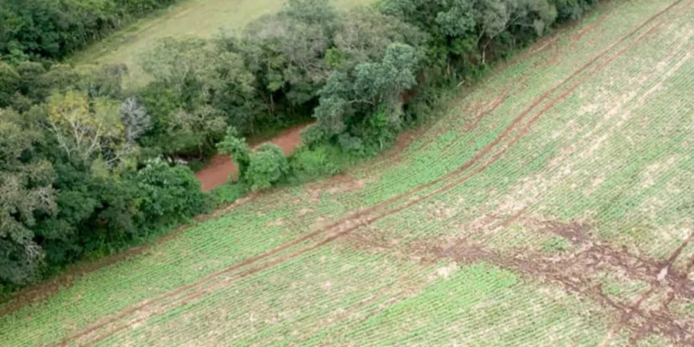 Fiscais identificaram atividades irregulares em Área de Preservação Permanente (APP) em uma propriedade rural.