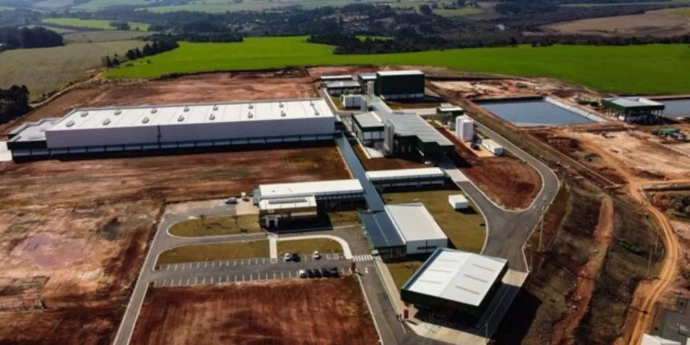 O Paraná lidera o ranking de agilidade na abertura de empresas no País e está entre os três estados com maior número de novas empresas.