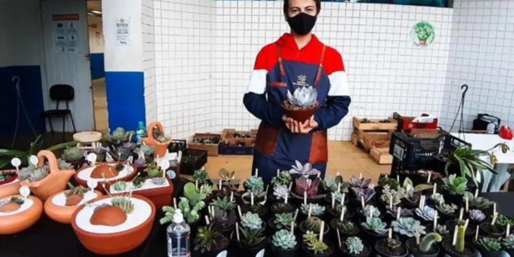 Imagem ilustrativa da imagem Ponta Grossa realiza 2ª Feira Sucu&plantas