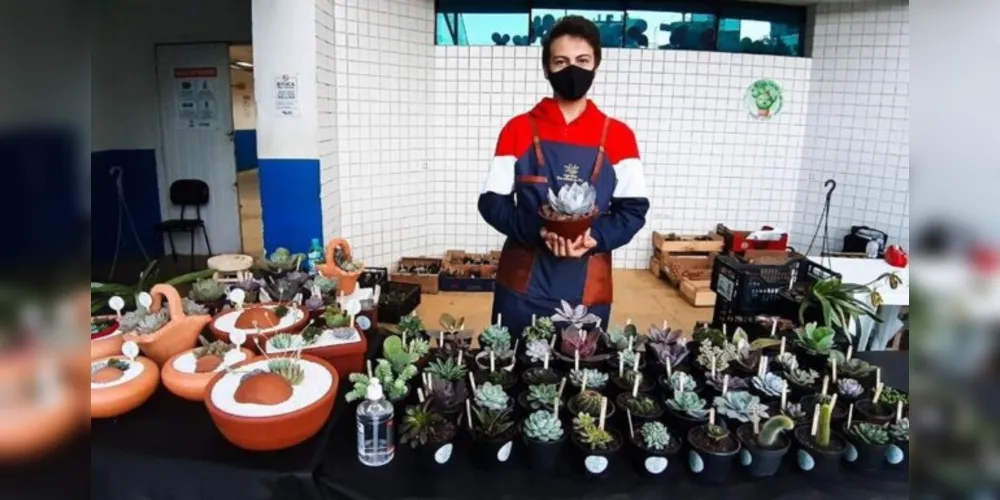 Imagem ilustrativa da imagem Ponta Grossa realiza 2ª Feira Sucu&plantas