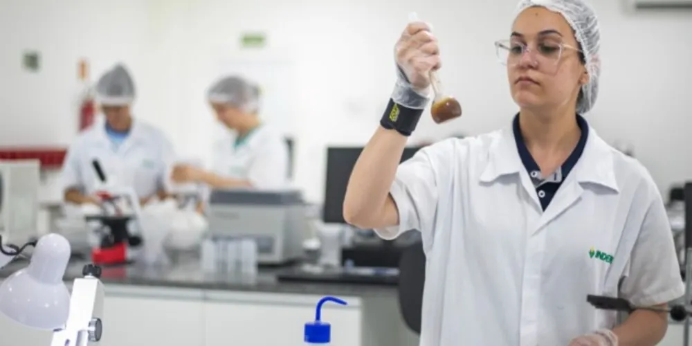 Mulheres se destacam como agentes transformadoras, disseminando a cultura de inovação dentro e fora das empresas