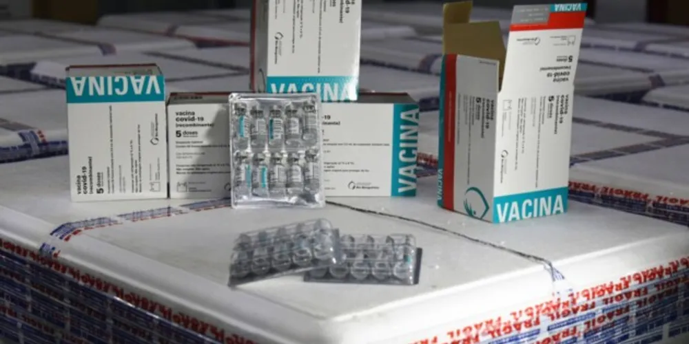 Imagem ilustrativa da imagem PR distribui novo lote de vacinas para população geral
